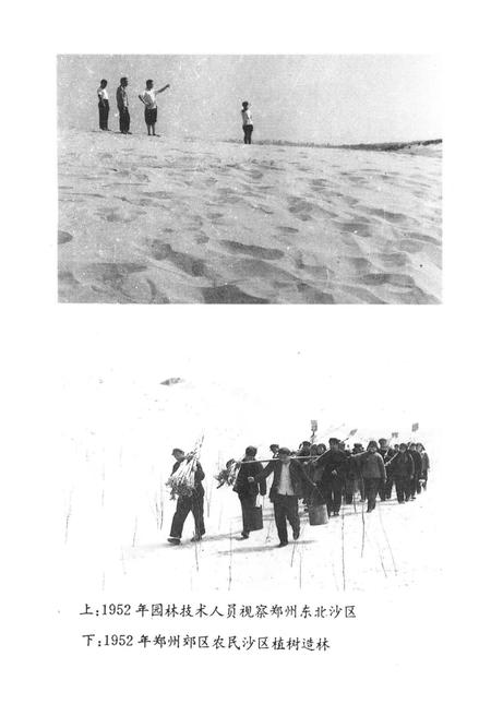 《郑州文史资料 第十辑（郑州绿化园林）》.pdf电子版_河南省志插图3