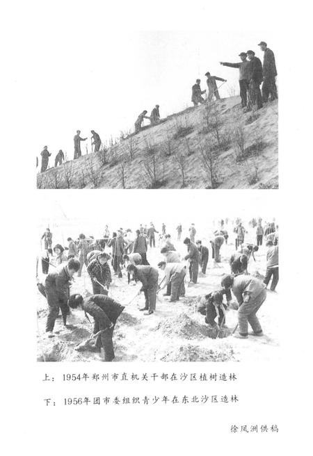 《郑州文史资料 第十辑（郑州绿化园林）》.pdf电子版_河南省志插图4