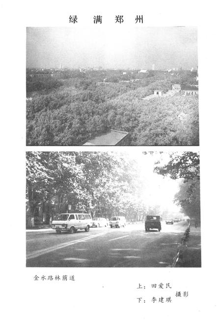 《郑州文史资料 第十辑（郑州绿化园林）》.pdf电子版_河南省志插图5