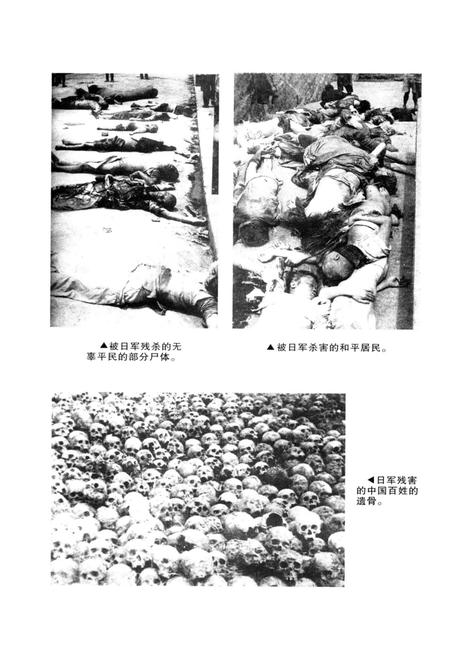 《平桥区文史资料专辑（总第四辑）》.pdf电子版_河南省志插图5