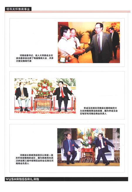 《豫商概览（2004-2008）第一卷》.pdf电子版_河南省志预览图5