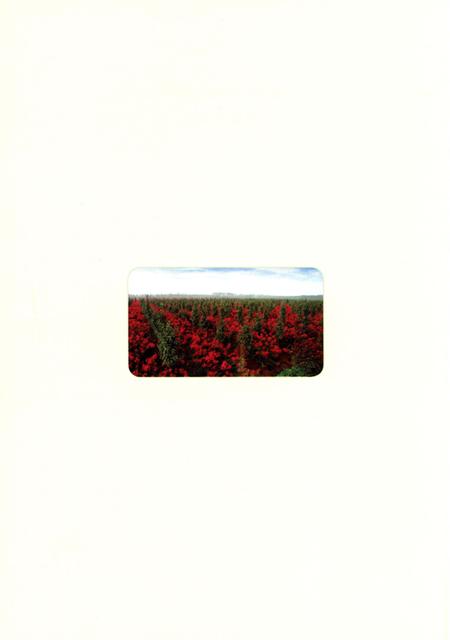 《漯河市林业园林志 1986-2012》.pdf电子版_河南省志插图4 《漯河市林业园林志 1986-2012》.pdf电子版_河南省志插图4