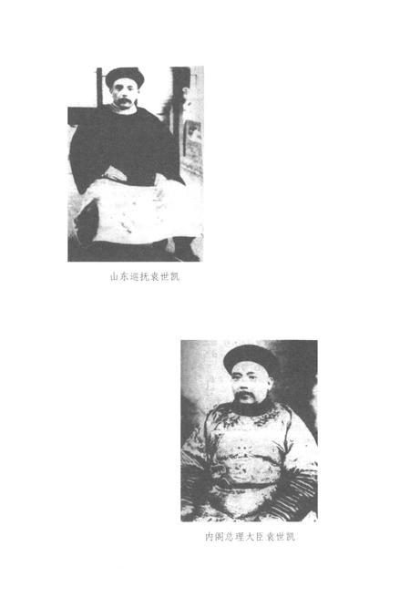 《百年家族 项城袁氏家族资料汇编》.pdf电子版_河南省志插图5