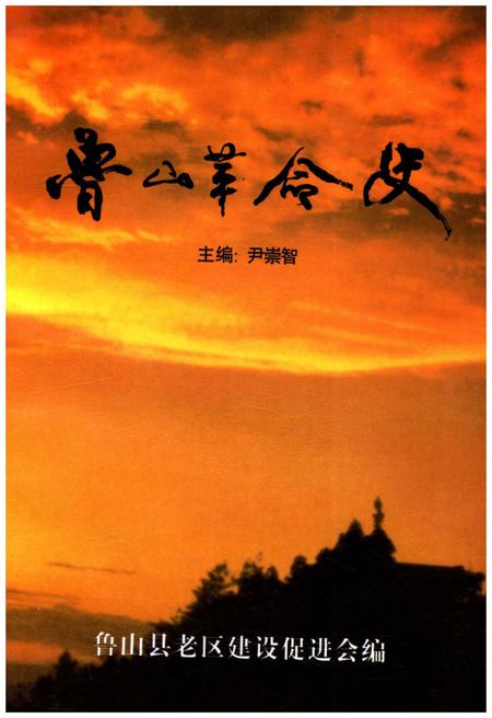 《鲁山革命史》.pdf电子版_河南省志