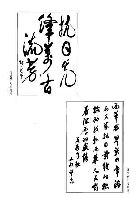 《周口革命老区》.pdf电子版_河南省志插图4