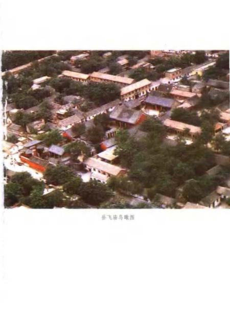 《岳飞庙志》.pdf电子版_河南省志插图3