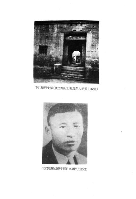 《漯河革命史》.pdf电子版_河南省志插图5