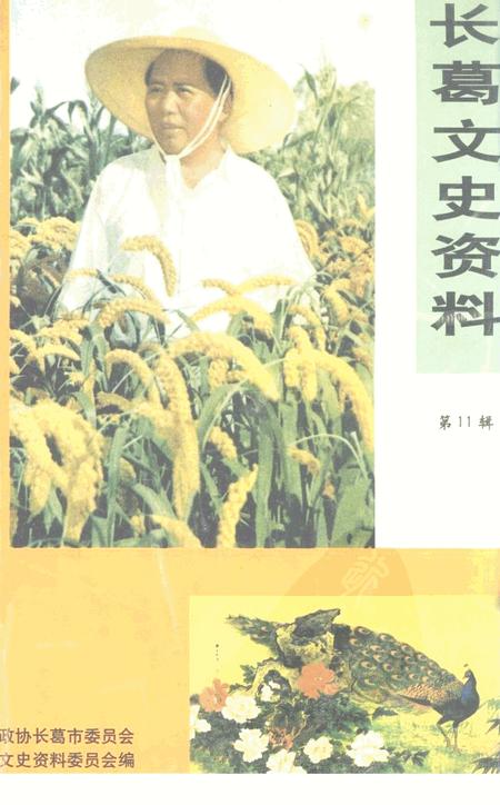 《长葛文史资料  第11辑》.pdf电子版_河南省志