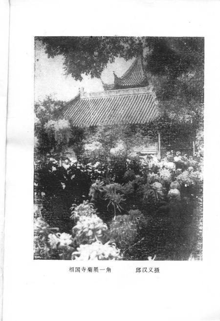 《开封民俗》.pdf电子版_河南省志插图4