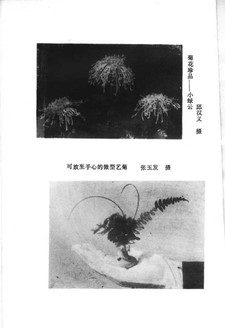 《开封民俗》.pdf电子版_河南省志插图5