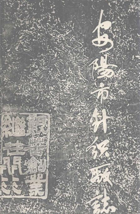 《安阳市针织厂志》.pdf电子版_河南省志