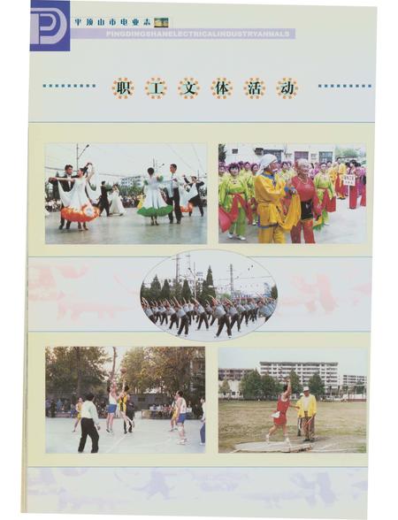 《平顶山市电志》.pdf电子版_河南省志插图5 《平顶山市电志》.pdf电子版_河南省志插图5