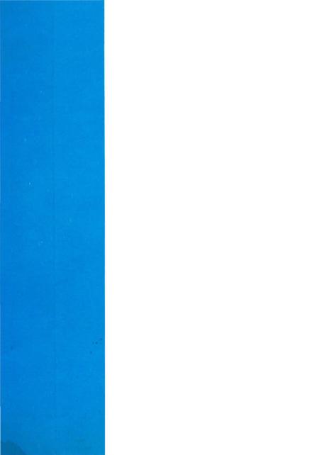 《卢氏民俗志》.pdf电子版_河南省志插图1 《卢氏民俗志》.pdf电子版_河南省志插图1