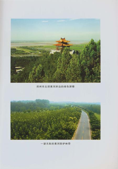 《郑州林业志综合卷（1978-2008）》.pdf电子版_河南省志插图4