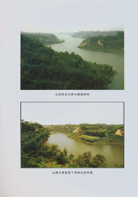 《郑州林业志综合卷（1978-2008）》.pdf电子版_河南省志插图5