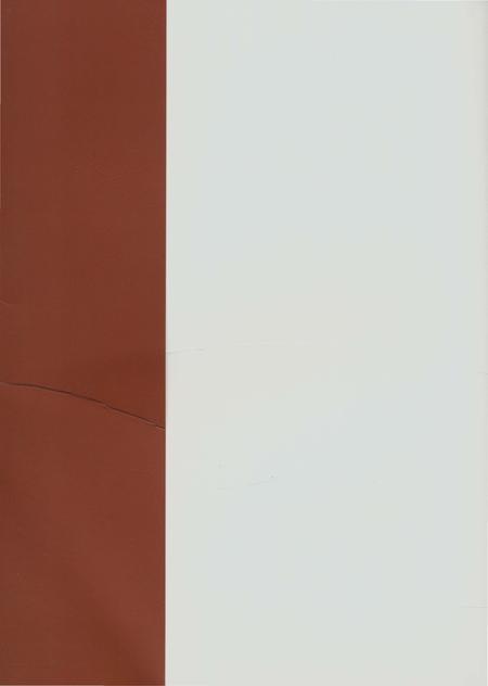 《郑州林业志巩义卷（1978-2008）》.pdf电子版_河南省志插图1