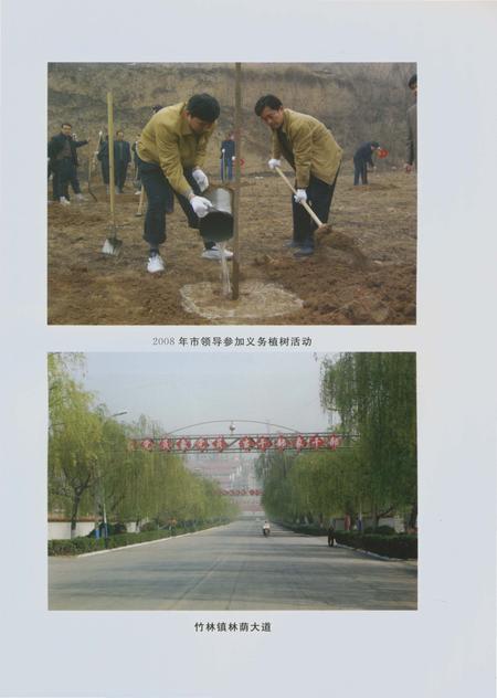 《郑州林业志巩义卷（1978-2008）》.pdf电子版_河南省志插图4