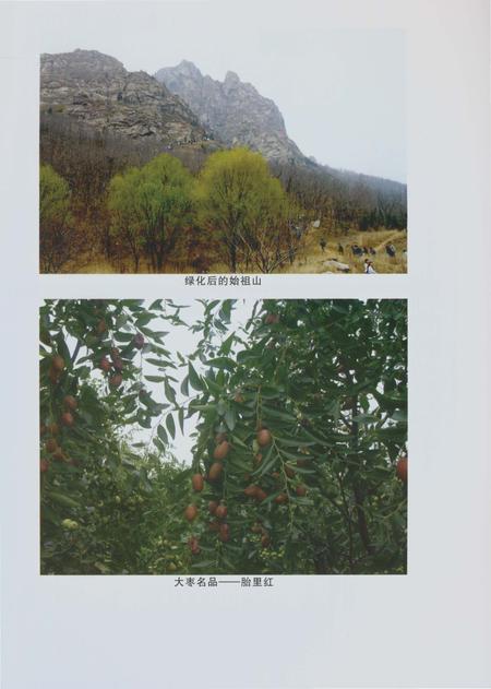 《郑州林业志新郑卷（1978-2008）》.pdf电子版_河南省志插图4