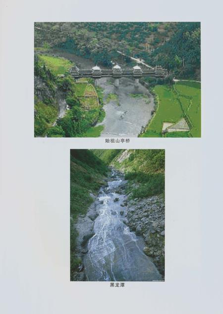 《郑州林业志新郑卷（1978-2008）》.pdf电子版_河南省志插图5