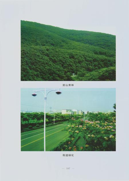 《郑州林业志登封卷(1978-2008)》.pdf电子版_河南省志插图5 《郑州林业志登封卷(1978-2008)》.pdf电子版_河南省志插图5