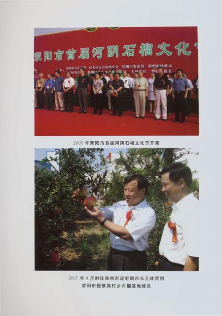 《郑州林业志荥阳卷（1978-2008）》.pdf电子版_河南省志插图5