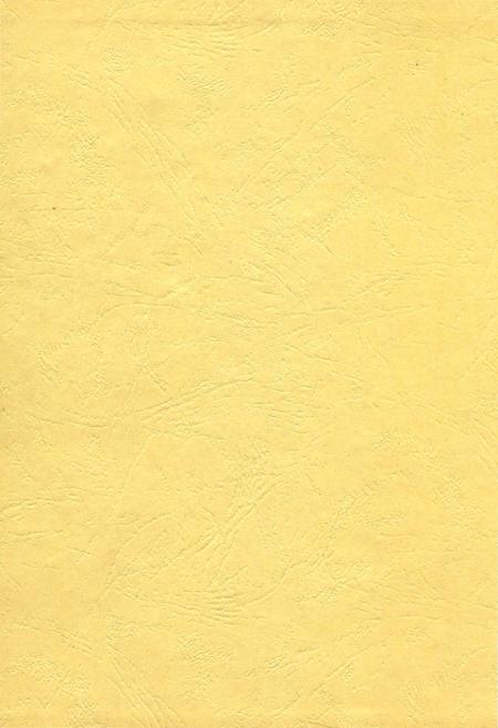 《南阳农机化志（1986-2005）》.pdf电子版_河南省志插图1