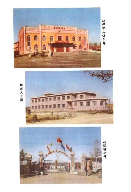 《鹤山农场史》.pdf电子版_黑龙江省志插图4 《鹤山农场史》.pdf电子版_黑龙江省志插图4