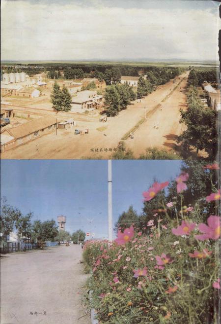 《绥棱农场志》.pdf电子版_黑龙江省志插图5 《绥棱农场志》.pdf电子版_黑龙江省志插图5