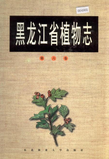 《黑龙江省植物志 第六卷》.pdf电子版_黑龙江省志插图 《黑龙江省植物志 第六卷》.pdf电子版_黑龙江省志插图