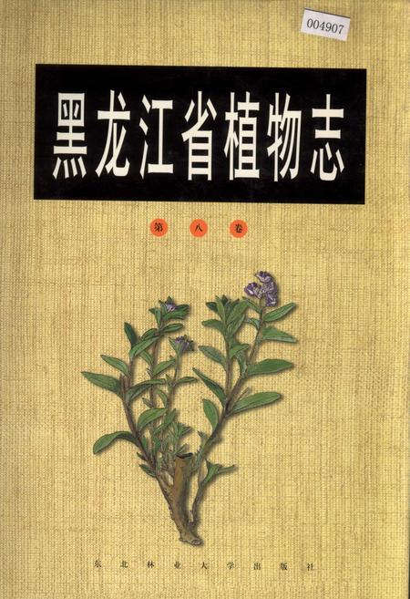 《黑龙江省植物志 第八卷》.pdf电子版_黑龙江省志插图 《黑龙江省植物志 第八卷》.pdf电子版_黑龙江省志插图