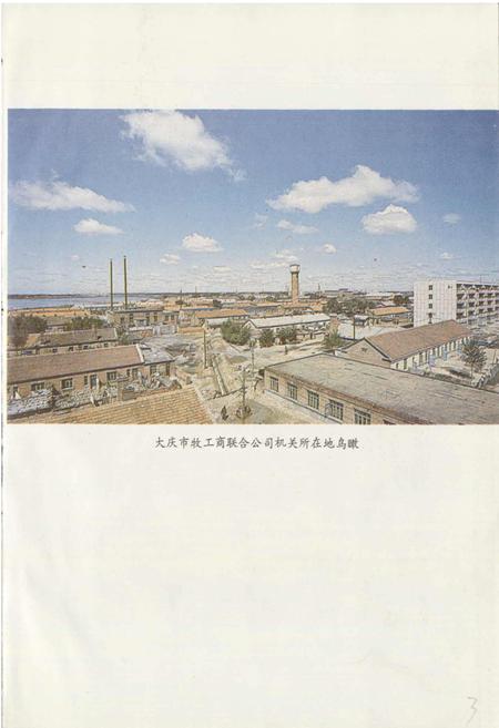 《大庆市牧工商联合公司志》.pdf电子版_黑龙江省志插图3