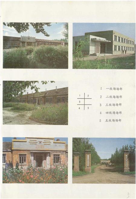 《大庆市牧工商联合公司志》.pdf电子版_黑龙江省志插图5