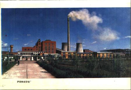 《伊春林业发电厂志》.pdf电子版_黑龙江省志插图4