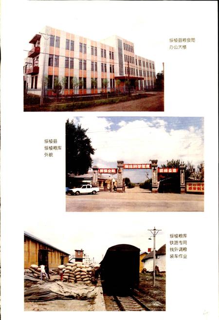 《绥棱县粮食志》.pdf电子版_黑龙江省志预览图5
