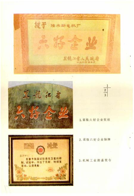 《佳木斯电机厂志 第一卷》.pdf电子版_黑龙江省志插图5 《佳木斯电机厂志 第一卷》.pdf电子版_黑龙江省志插图5