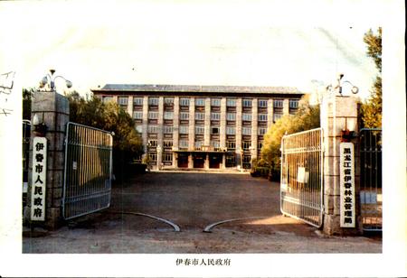 《黑龙江省伊春市地名录》.pdf电子版_黑龙江省志插图1