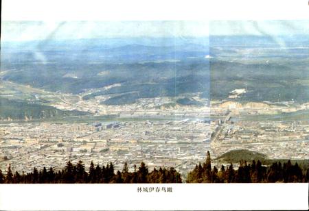 《黑龙江省伊春市地名录》.pdf电子版_黑龙江省志插图2