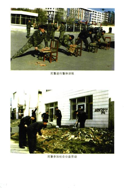 《绥化市公安志(1991-2000)》.pdf电子版_黑龙江省志预览图5