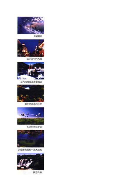 《黑龙江统计表(1986-2005)》.pdf电子版_黑龙江省志预览图4