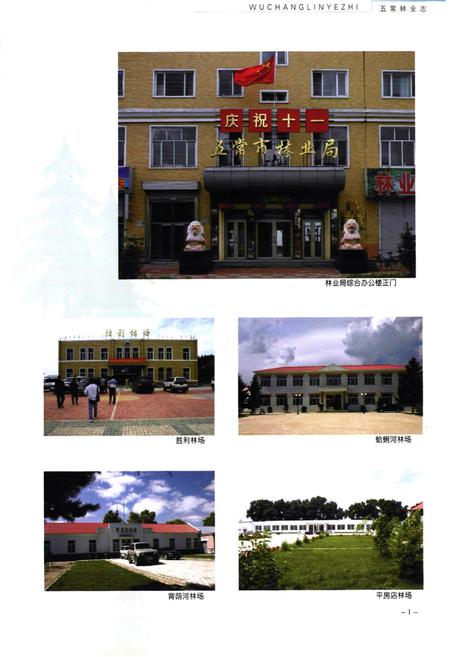 《五常林业志》.pdf电子版_黑龙江省志预览图4