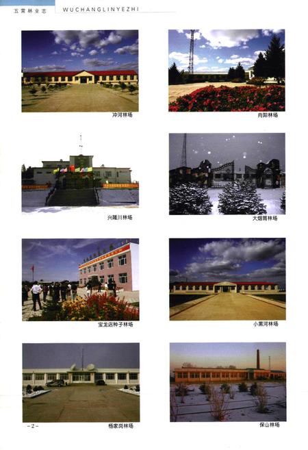 《五常林业志》.pdf电子版_黑龙江省志预览图5