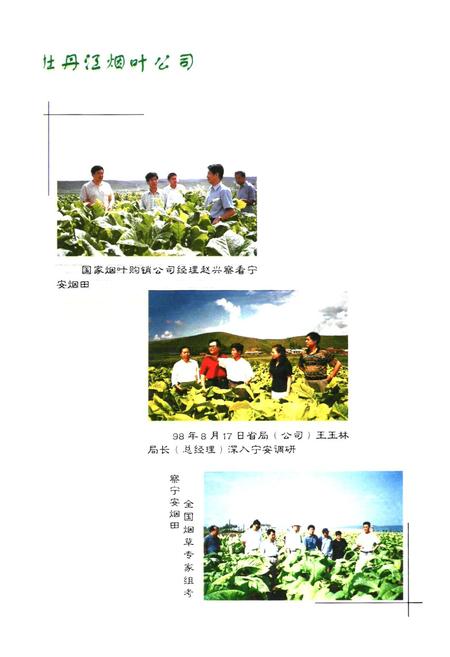 《牧丹江烟叶公司志》.pdf电子版_黑龙江省志插图4