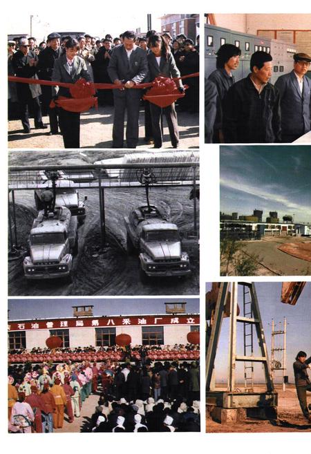 《第八采油厂志(1983-1989)》.pdf电子版_黑龙江省志插图3 《第八采油厂志(1983-1989)》.pdf电子版_黑龙江省志插图3