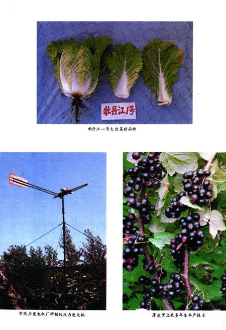 《牡丹江市科学技术志》.pdf电子版_黑龙江省志插图5 《牡丹江市科学技术志》.pdf电子版_黑龙江省志插图5