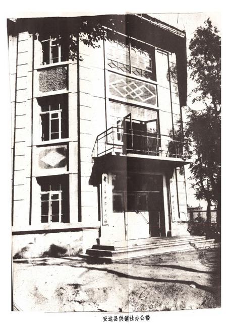 《安达县供销社志(1946-1981)》.pdf电子版_黑龙江省志插图2