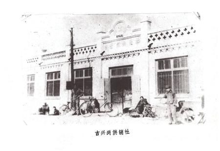 《安达县供销社志(1946-1981)》.pdf电子版_黑龙江省志插图5