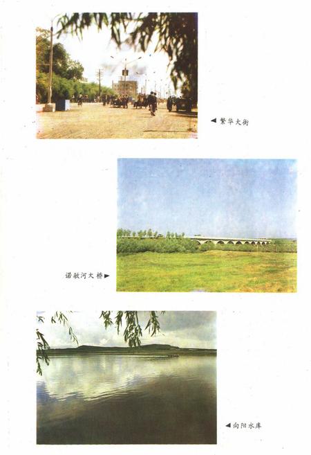 《《绥棱县志》》.pdf电子版_黑龙江省志预览图4