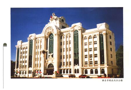 《《肇东市财政志》》.pdf电子版_黑龙江省志预览图5