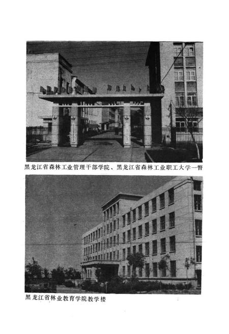 《黑龙江省森林工业教育志》.pdf电子版_黑龙江省志插图3