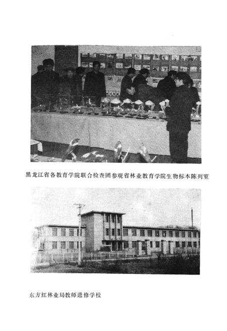 《黑龙江省森林工业教育志》.pdf电子版_黑龙江省志插图4